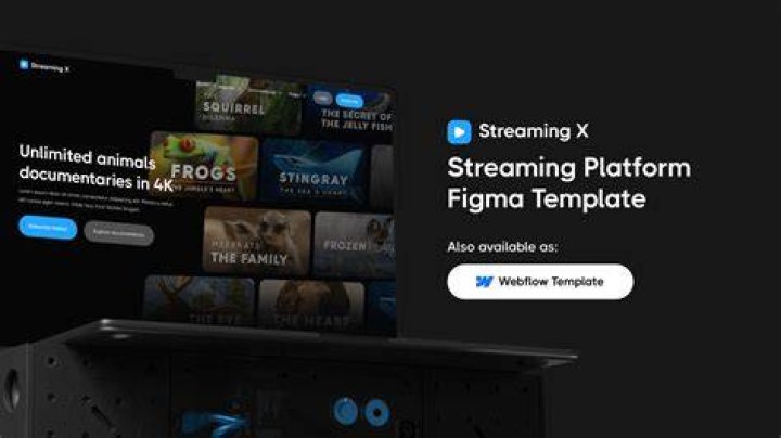 Streaming platform interface comparison